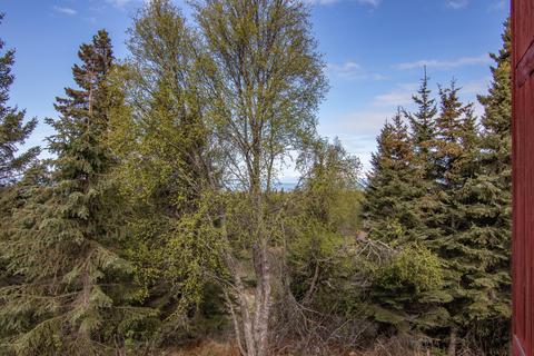 64720 Randis Rd, Ninilchik, AK 99639 photo 33