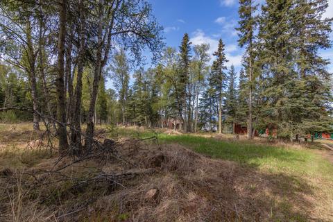 64720 Randis Rd, Ninilchik, AK 99639 photo 29