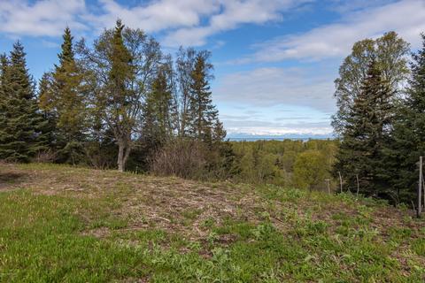 64720 Randis Rd, Ninilchik, AK 99639 photo 31