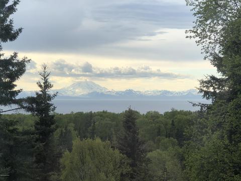 64720 Randis Rd, Ninilchik, AK 99639 photo 38