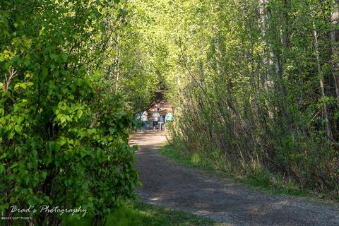 809 W 80th Ave, Anchorage, AK 99518 photo 25
