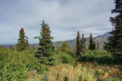7841 Robert Cir, Anchorage, AK 99516 photo 51