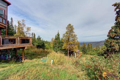 7841 Robert Cir, Anchorage, AK 99516 photo 48