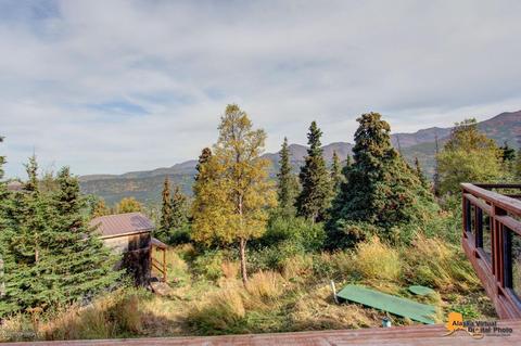 7841 Robert Cir, Anchorage, AK 99516 photo 50
