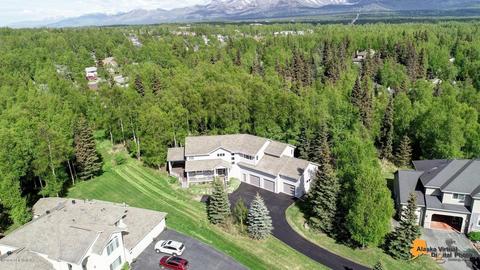 300 Orchid Cir, Anchorage, AK 99515 photo 58