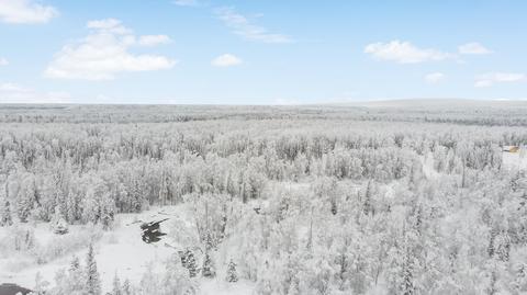 L2 B4 Denali View Estates, Willow, AK 99688 photo 8