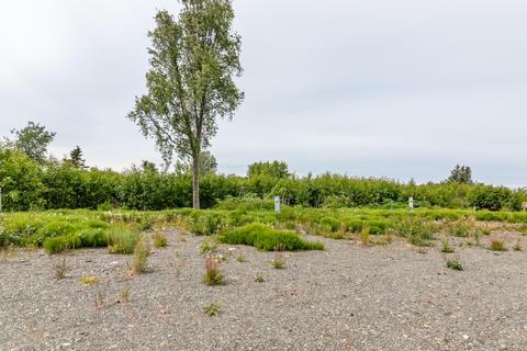 66365 Alder St, Ninilchik, AK 99639 photo 13