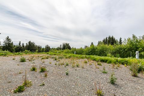66365 Alder St, Ninilchik, AK 99639 photo 14