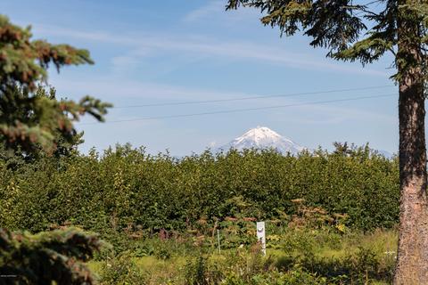 66365 Alder St, Ninilchik, AK 99639 photo 29