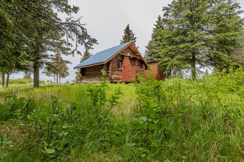 66365 Alder St, Ninilchik, AK 99639 photo 10
