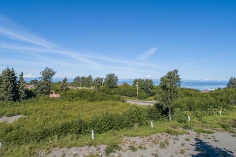 66365 Alder St, Ninilchik, AK 99639 photo 2