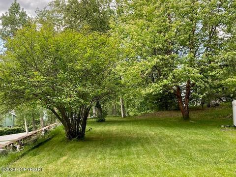 22813 Eagle Glacier Loop, Eagle River, AK 99577 photo 33