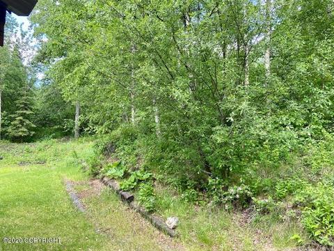 22813 Eagle Glacier Loop, Eagle River, AK 99577 photo 34