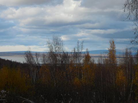 19239 Adrian Ave, Chugiak, AK 99567 photo 35