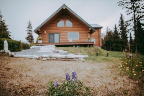 73614 Twin Peaks Loop, Anchor Point, AK 99556 photo 4