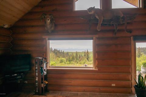 73614 Twin Peaks Loop, Anchor Point, AK 99556 photo 12