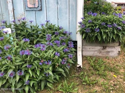 104 E Danview Ave, Homer, AK 99603 photo 23