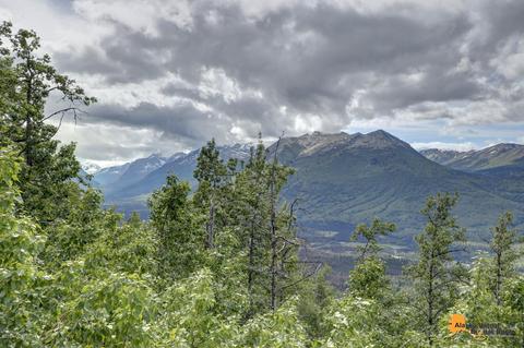 21732 Sheppard Dr, Eagle River, AK 99577 photo 6