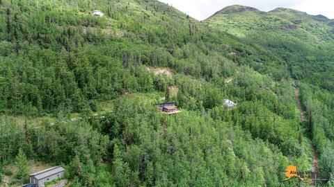 21732 Sheppard Dr, Eagle River, AK 99577 photo 44
