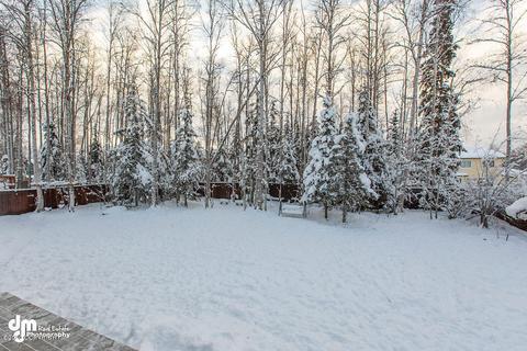 16528 Theodore Dr, Eagle River, AK 99577 photo 16