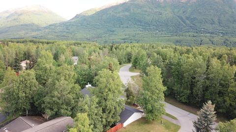 19901 N Montague Loop, Eagle River, AK 99577 photo 31