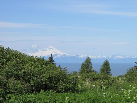 10430 Katrina Bd, Ninilchik, AK 99639 photo 2