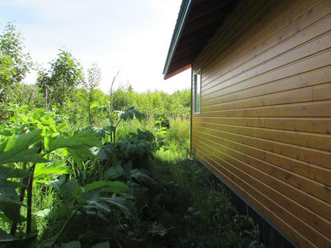 10430 Katrina Bd, Ninilchik, AK 99639 photo 44