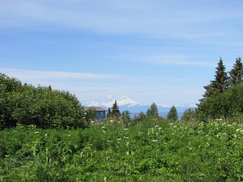 10430 Katrina Bd, Ninilchik, AK 99639 photo 42