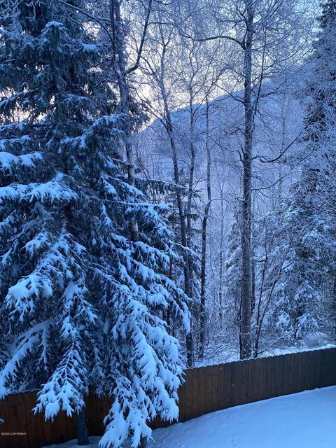 20150 Highland Ridge Dr, Eagle River, AK 99577 photo 40