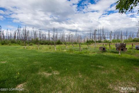 25548 Serenity Dr, Willow, AK 99688 photo 42
