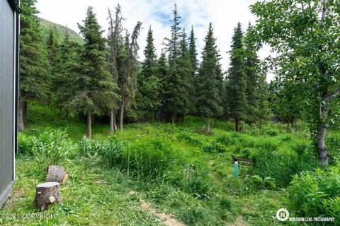 1421 S Creek Rd, Eagle River, AK 99577 photo 25