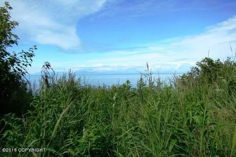 10097 Sunset Blfs, Ninilchik, AK 99639 photo 6