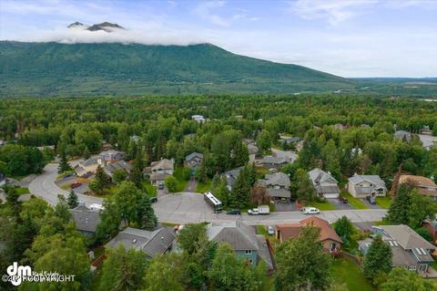 20194 Constitution Dr, Eagle River, AK 99577 photo 86