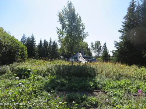 68395 Sunshine Dr, Ninilchik, AK 99639 photo 2