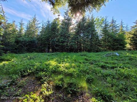 Nhn Mc Crae Road, Haines, AK 99827