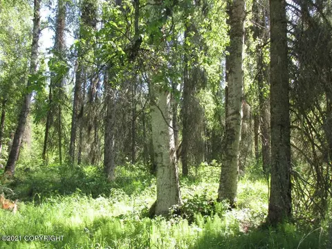 16792 S Dairy Loop, Wasilla, AK 99654 photo 1