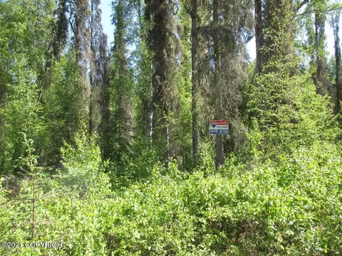 16792 S Dairy Loop, Wasilla, AK 99654 photo 5
