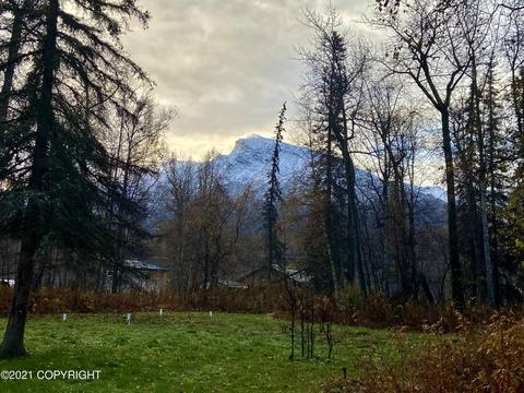 22062 E Mcpherson Ave, Sutton, AK 99674 photo 3