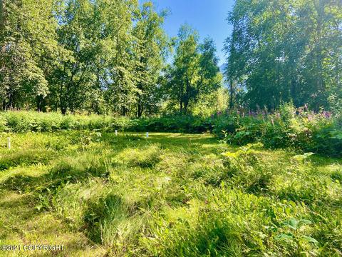 22062 E Mcpherson Ave, Sutton, AK 99674 photo 41