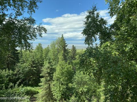 15650 Southpark Loop, Anchorage, AK 99516 photo 11