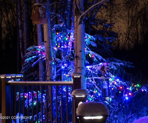 15650 Southpark Loop, Anchorage, AK 99516 photo 69