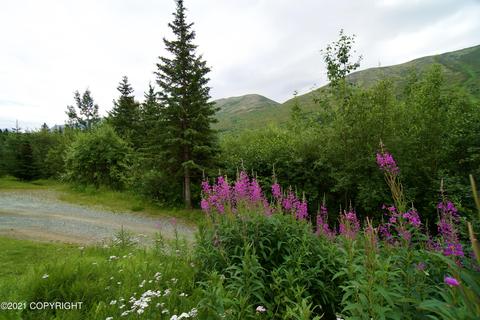 1941 S River Dr, Eagle River, AK 99577 photo 36
