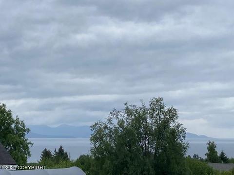 705 Rangeview Ave, Homer, AK 99603 photo 4