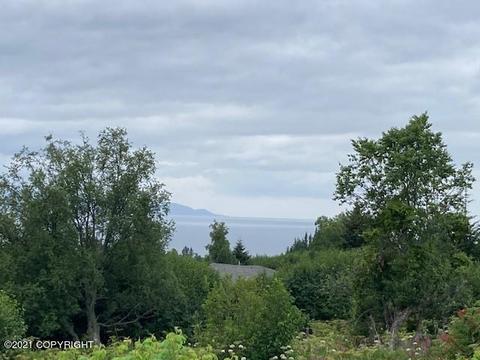 705 Rangeview Ave, Homer, AK 99603 photo 5