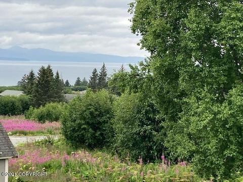 705 Rangeview Ave, Homer, AK 99603 photo 6