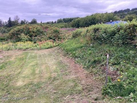 705 Rangeview Ave, Homer, AK 99603 photo 7