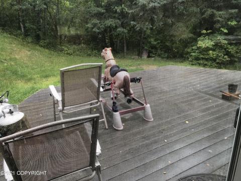 25240 Thunderbird Dr, Chugiak, AK 99567 photo 9