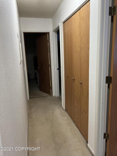 25240 Thunderbird Dr, Chugiak, AK 99567 photo 28