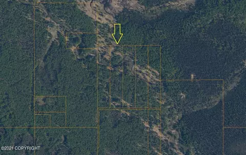 Unit 2 Deception Creek, Willow, AK 99688