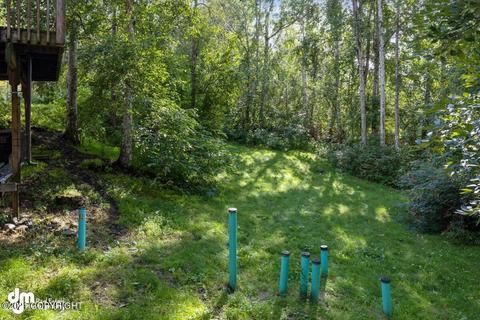 24636 Teal Loop, Chugiak, AK 99567 photo 35